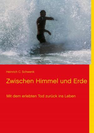 Cover of the book Zwischen Himmel und Erde by Manu Wirtz