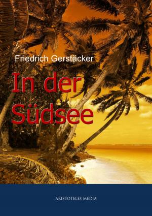 Cover of the book In der Südsee by Charles Dickens