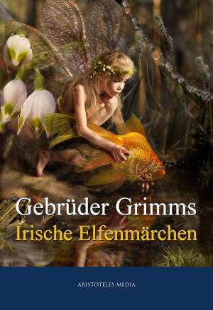 Book cover of Grimms Irische Elfenmärchen