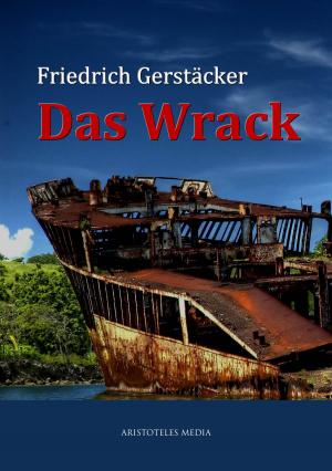 Cover of the book Das Wrack by Fridtjof Nansen
