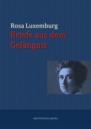 Cover of the book Briefe aus dem Gefängnis by Johann Wolfgang von Goethe