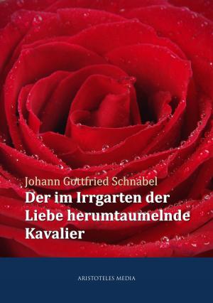 bigCover of the book Der im Irrgarten der Liebe herumtaumelnde Kavalier by 