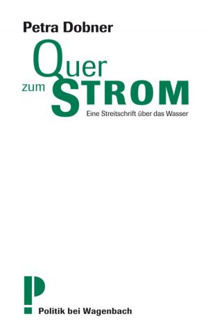 Cover of the book Quer zum Strom by Francesca Melandri