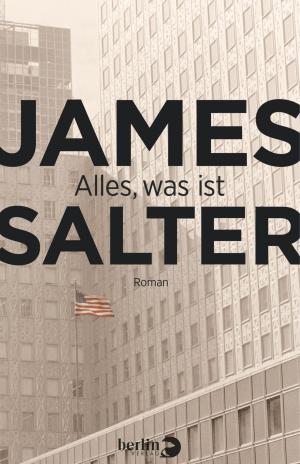 Cover of the book Alles, was ist by Gila Lustiger