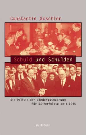 Cover of the book Schuld und Schulden by Irene Heidelberger-Leonard