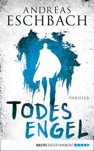 Cover of the book Todesengel by Petra Hülsmann