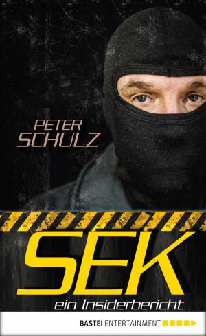 Cover of the book SEK - ein Insiderbericht by Marina Anders