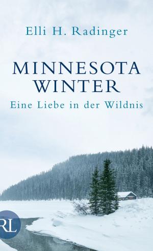 Cover of the book Minnesota Winter by Anna Seghers, Sonja Hilzinger