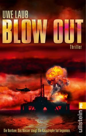 Cover of the book Blow Out by Cay Reet