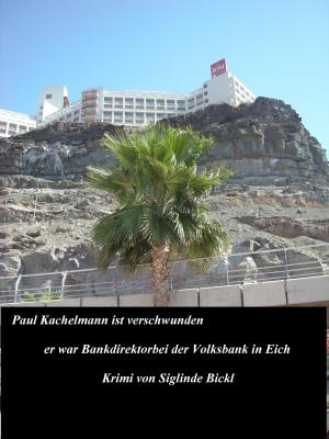 Cover of the book Paul Kachelmann ist verschwunden by Sylvia Obergfell