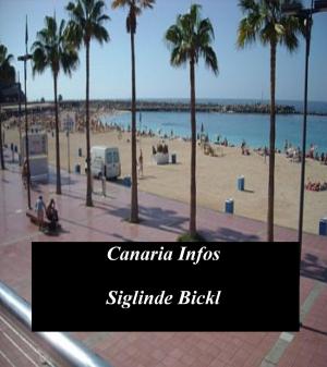 Cover of the book Gran Canaria Infos by David Hoffmann