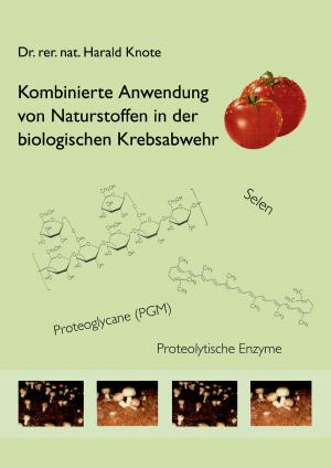 Cover of the book Kombinierte Anwendung von Naturstoffen in der biologischen Krebsabwehr by Franz Werfel