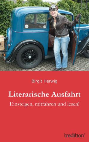 Cover of the book Literarische Ausfahrt by Monica Wegmann
