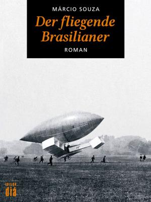 Cover of the book Der fliegende Brasilianer by Sérgio Sant'Anna
