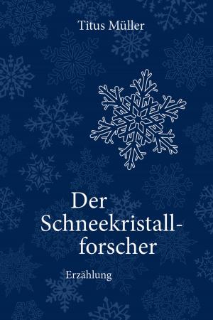 Cover of the book Der Schneekristallforscher by Sebastian Moll