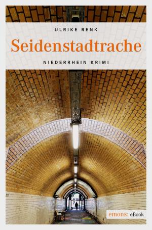 Cover of the book Seidenstadtrache by Gerald Sathiyasiva