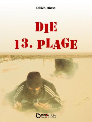 Cover of Die 13. Plage