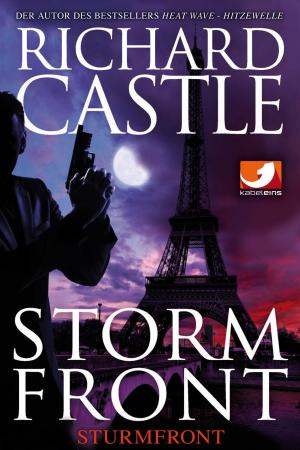 bigCover of the book Derrick Storm 1: Storm Front - Sturmfront by 