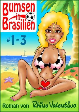 Book cover of Bumsen in Brasilien 1-3