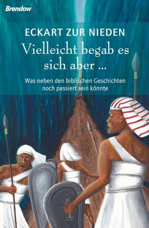 Cover of the book Vielleicht begab es sich aber ... by Daniel Schneider