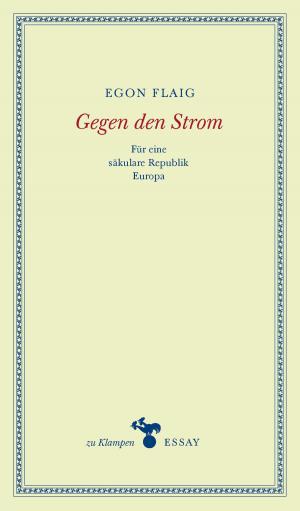 Cover of the book Gegen den Strom by Elvira Seiwert