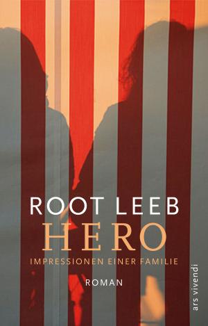 Cover of the book Hero (eBook) by David De Bacco