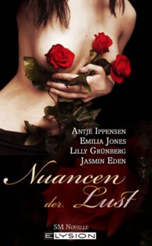 bigCover of the book Nuancen der Lust by 