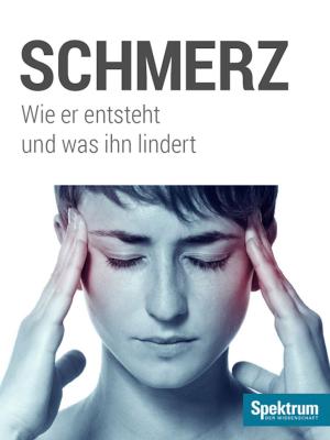 Cover of the book Schmerz by 