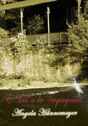 Cover of the book E-Mail in die Vergangenheit by Katja Bock, Torsten Peters
