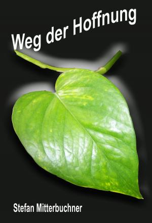 Cover of the book Weg der Hoffnung by Angelika Görg, Torsten Peters