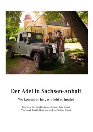 bigCover of the book Der Adel in Sachsen-Anhalt by 