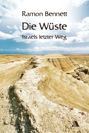 Cover of the book Die Wüste by J. Zohara Meyerhoff Hieronimus, D.H.L.