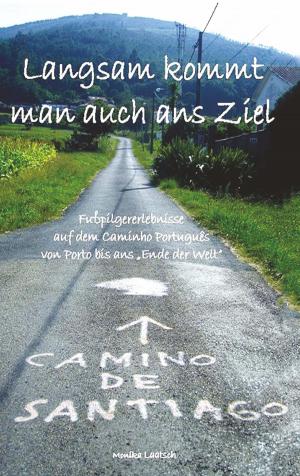 bigCover of the book Langsam kommt man auch ans Ziel by 