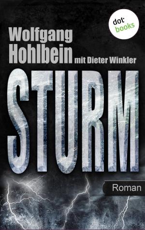 Cover of the book Sturm by Tanja Kinkel