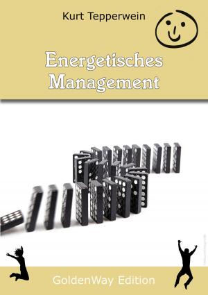 Cover of the book Energetisches Management by Kurt Tepperwein