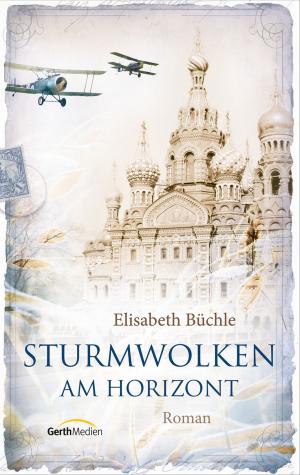 Cover of the book Sturmwolken am Horizont by Henk Stoorvogel, Theo van den Heuvel