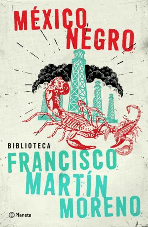 Cover of the book México negro by Dolores Redondo