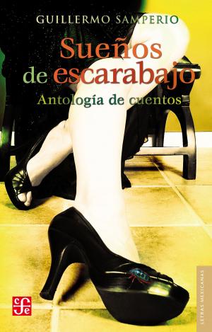 Cover of the book Sueños de escarabajo by Patricia Galeana