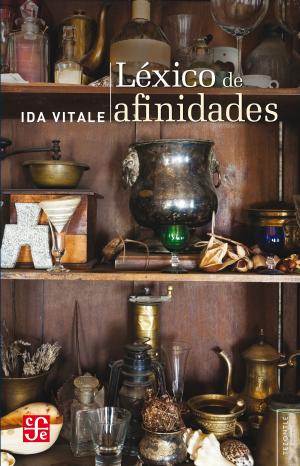 Cover of the book Léxico de afinidades by Homero Aridjis