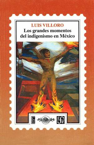 Cover of the book Los grandes momentos del indigenismo en México by Ana María Machado