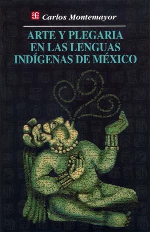 Cover of the book Arte y plegaria en las lenguas indígenas de México by Martha Robles