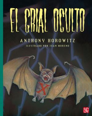 Cover of the book El grial oculto by Claudio Lomnitz