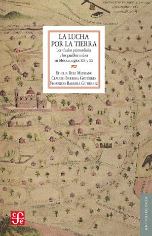 Cover of the book La lucha por la tierra by Luis Medina Peña