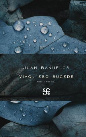 Cover of the book Vivo, eso sucede by Cristina Rivera Garza