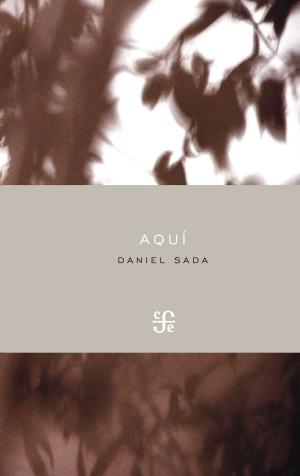 Book cover of Aquí