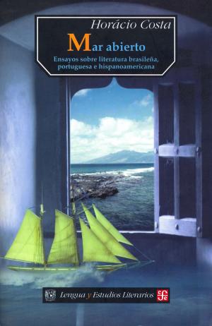Cover of the book Mar abierto by Kevin Brooks
