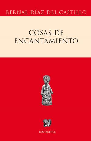 Cover of the book Cosas de encantamiento by Roberto Zavala Ruiz