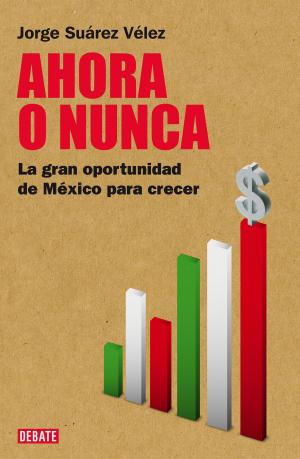Cover of the book Ahora o nunca by Roger Bartra
