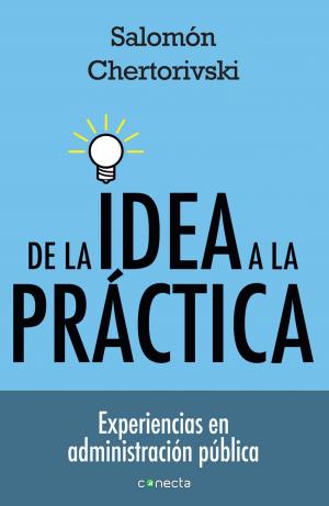 Cover of the book De la idea a la práctica by Hilario Peña