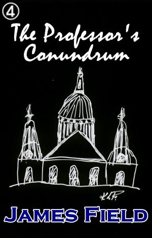 Cover of the book The Professor's Conundrum by Mark Adams